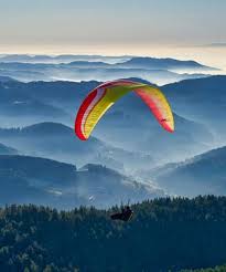 Related Product Image